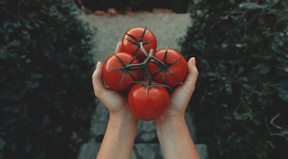 Tomaatit vähentävät eturauhassyövän riskiä